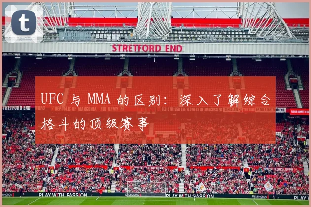 UFC 与 MMA 的区别：深入了解综合格斗的顶级赛事