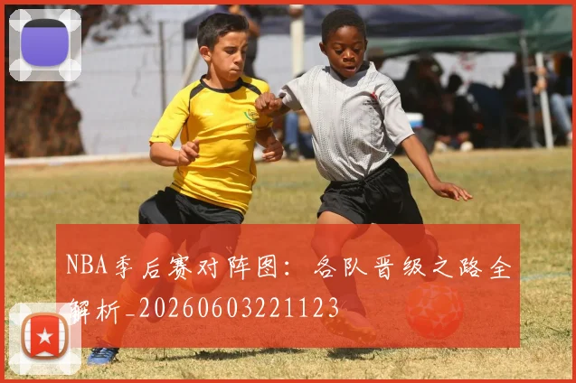 NBA季后赛对阵图：各队晋级之路全解析_20260603221123