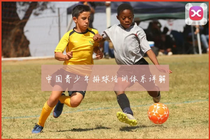 中国青少年排球培训体系详解