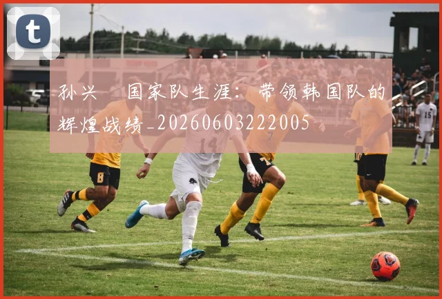 孙兴慜国家队生涯:带领韩国队的辉煌战绩_20260603222005
